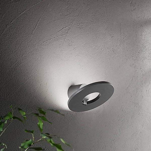 LED-Außenwandlampe Elite, dunkelgrau, Metall, Ø 24 cm, IP54 günstig online kaufen