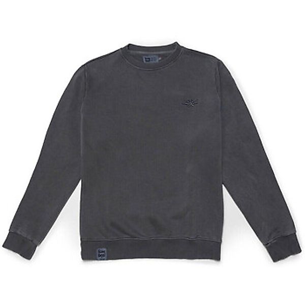 Sunni Sabbi  Pullover TERRA günstig online kaufen
