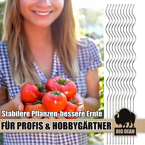 BigDean Rankgitter Tomatenspiralstäbe 110cm verzinkt Rankstab günstig online kaufen
