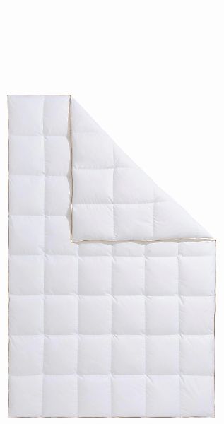 Frau Holle Gänsedaunenbettdecke "Dana, Bettdecken für Sommer oder Winter, h günstig online kaufen