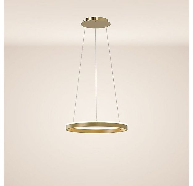 s.luce Pendelleuchte LED Ring Pendelleuchte rund Direkt oder Indirekt Gold, günstig online kaufen