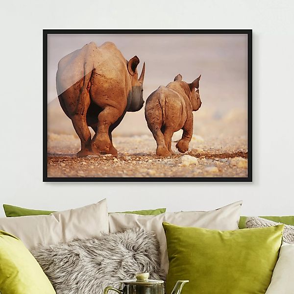 Bild mit Rahmen - Querformat Wandering Rhinos günstig online kaufen