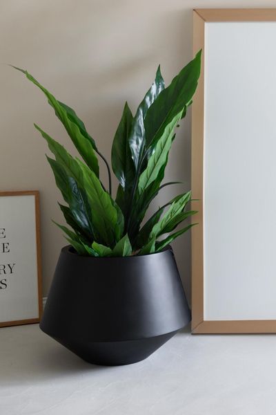 VIVANNO Blumentopf Fiberglas BERBELIT Rund - günstig online kaufen