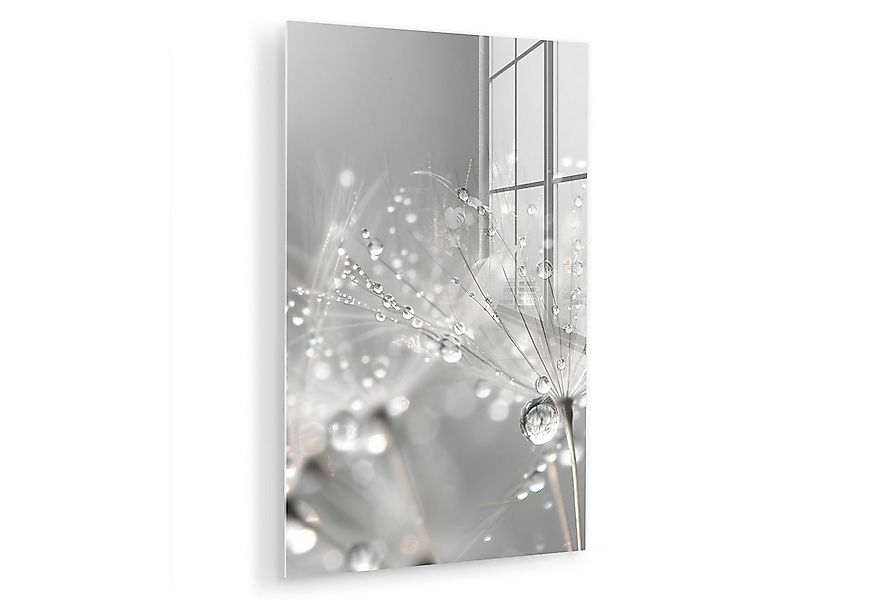 MuchoWow Acrylglasbild Löwenzahn - Wassertropfen - Stilleben - Modern, Inkl günstig online kaufen