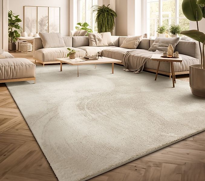 TT Home Teppich, Rechteckig, Höhe: 14 günstig online kaufen