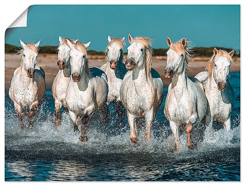 Artland Wandbild "Camargue Pferde galoppieren am Strand", Haustiere, (1 St. günstig online kaufen