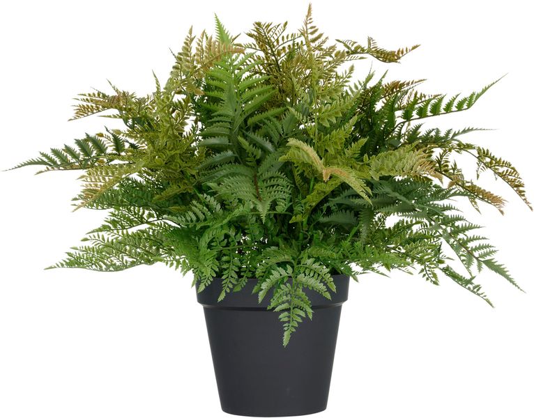 Kunstpflanze Farn, Creativ green, Höhe 70 günstig online kaufen