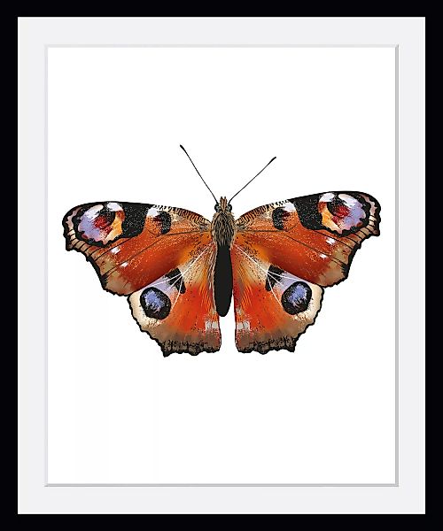 queence Bild "Lena", Schmetterlinge, (1 St.) günstig online kaufen