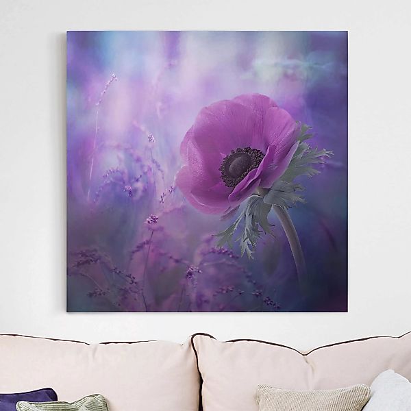 Leinwandbild Blumen - Quadrat Anemonenblüte in Violett günstig online kaufen