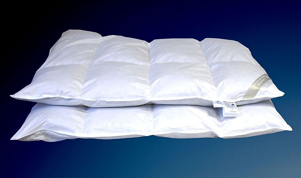 Betten Hofmann Daunenbettdecke Betten Hofmann Winter 8cm Hochsteg Daunenbet günstig online kaufen