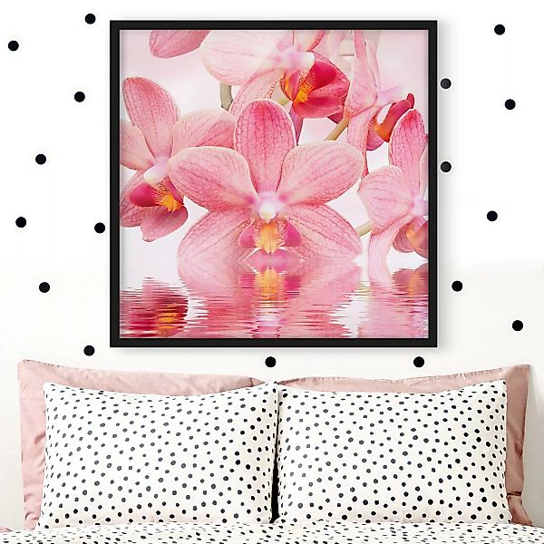 Bild mit Rahmen Blumen - Quadrat Rosa Orchideen auf Wasser günstig online kaufen