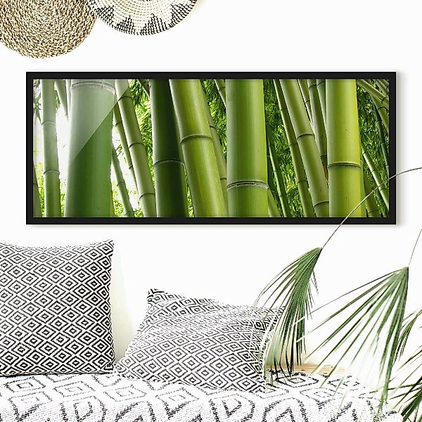 Bild mit Rahmen - Panorama Bamboo Trees günstig online kaufen