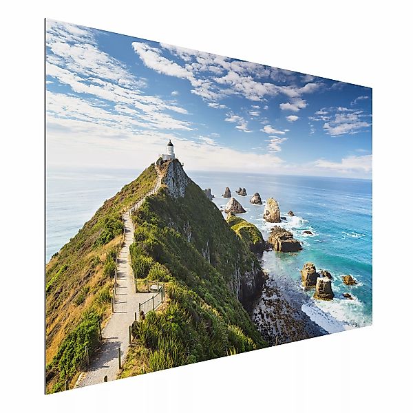 Alu-Dibond Bild Nugget Point Leuchtturm und Meer Neuseeland günstig online kaufen