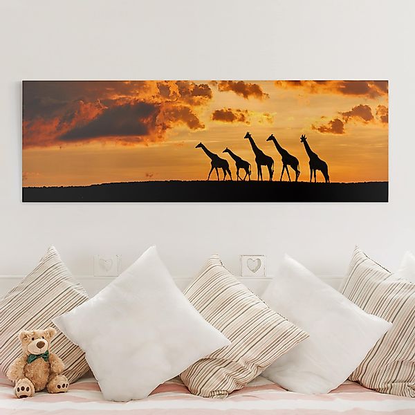 Leinwandbild - Panorama Fünf Giraffen günstig online kaufen