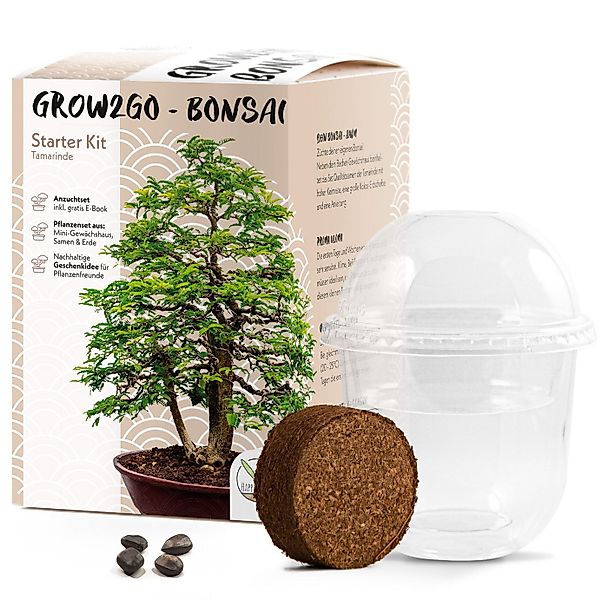 HappySeed Blumensamen GROW2GO Bonsai Starter Kit inkl. GRATIS eBook - Tamar günstig online kaufen