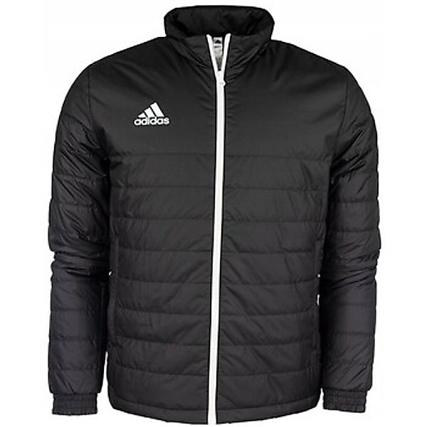 adidas  Daunenjacken Entrada 22 günstig online kaufen