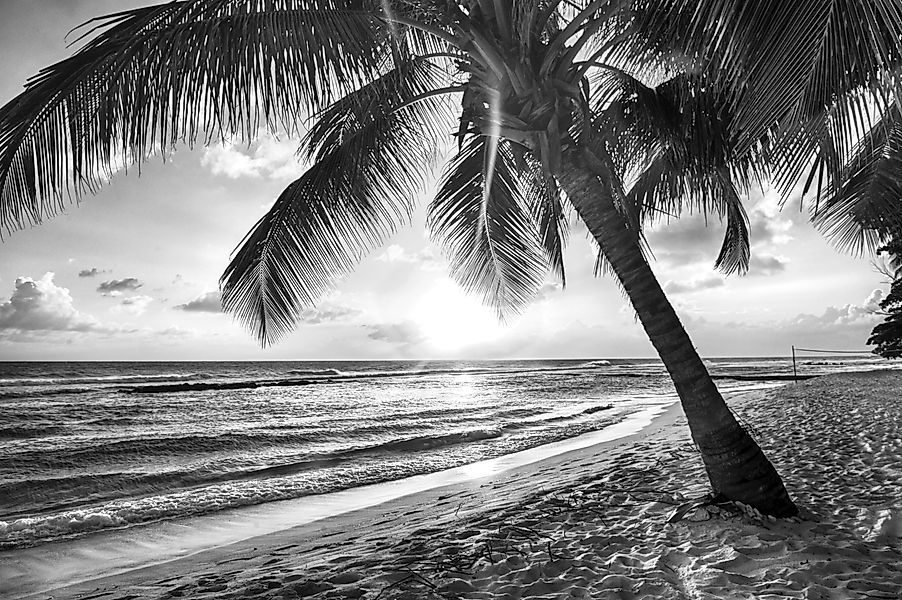 Papermoon Fototapete Strand Schwarz & Weiß günstig online kaufen