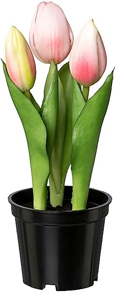 my home Kunsttulpe "Tulpe im Topf" günstig online kaufen