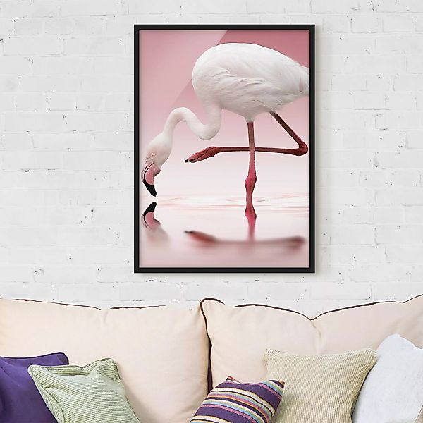 Bild mit Rahmen Tiere - Hochformat Flamingo Dance günstig online kaufen