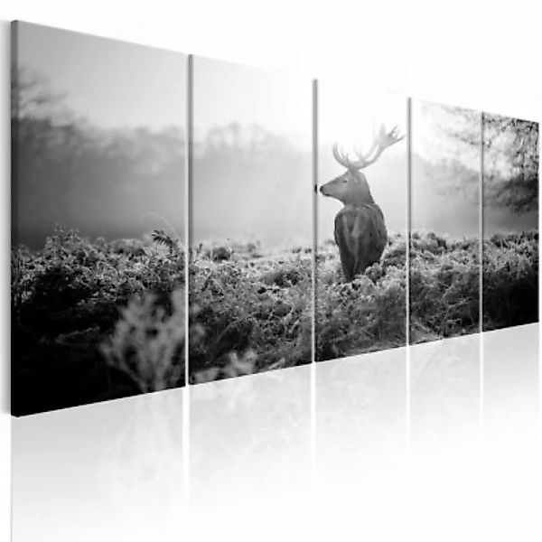artgeist Wandbild Field Guard schwarz/weiß Gr. 200 x 80 günstig online kaufen