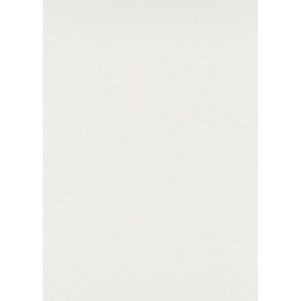 Bricoflor Einfarbige Vliestapete in Hellgrau günstig online kaufen