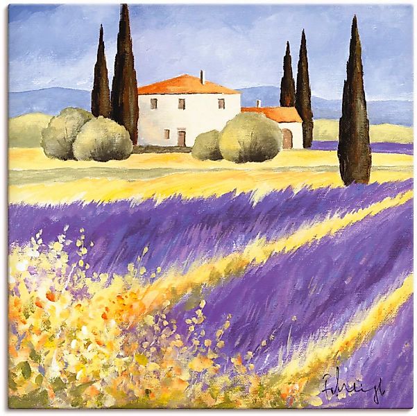Artland Leinwandbild "Licht der Provence", Felder, (1 St.) günstig online kaufen