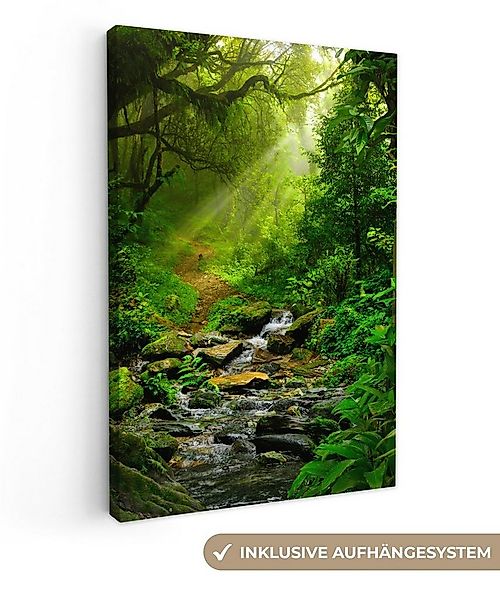 OneMillionCanvasses® Leinwandbild Dschungel - Wasser - Laub - Sonne - Natur günstig online kaufen
