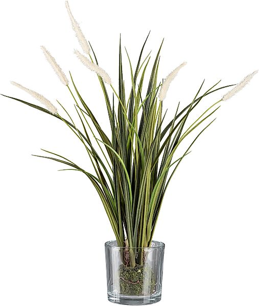 Kunstgras Grasbusch Miscanthus im Erdballen mit günstig online kaufen
