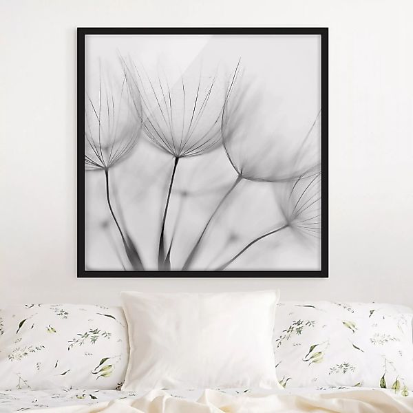 Bild mit Rahmen In einer Pusteblume Schwarz-Weiß günstig online kaufen