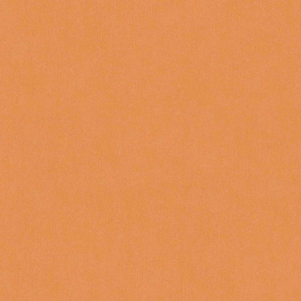 Bricoflor Orange Tapete für Kinderzimmer Terracotta Vliestapete Neutral für günstig online kaufen