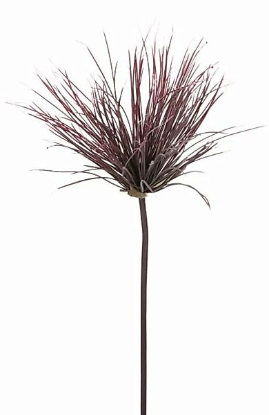 Flower & Style Kunstpflanzen & -blumen Cyperuszweig purpur 73 cm (lila) günstig online kaufen