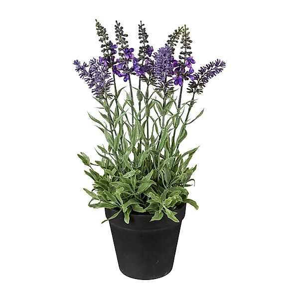 Kunstpflanze 3er Set künstlicher Lavendel im günstig online kaufen