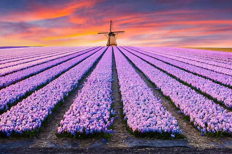 Papermoon Fototapete »Blumenfelder mit Windmühle« günstig online kaufen