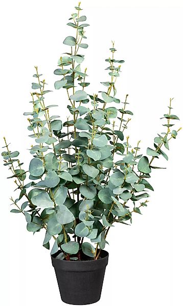 Creativ green Künstliche Zimmerpflanze "Eukalypthus" günstig online kaufen