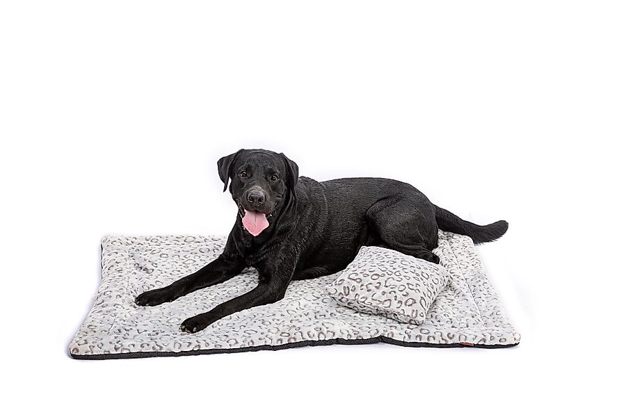 RAIKOU Tierdecke Haustierbett / Hundebett / günstig online kaufen