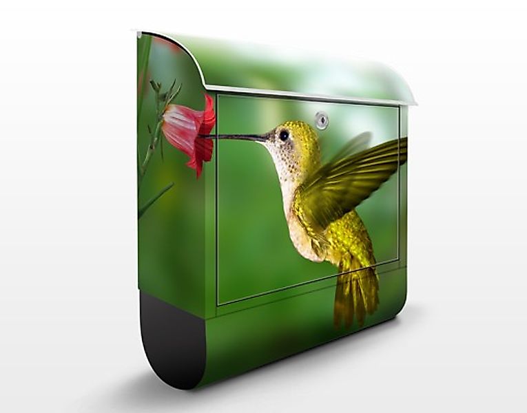 Briefkasten Kolibri und Blüte günstig online kaufen