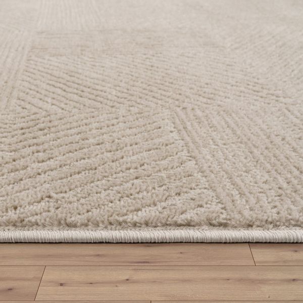 TT Home Teppich, Rechteckig, Höhe: 13 günstig online kaufen