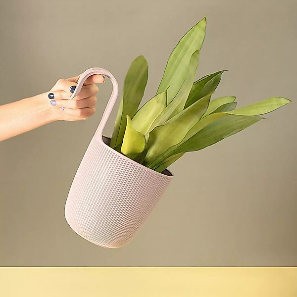 Engelland Blumentopf Blumentopf zum Hängen (Vorteils-Set, 3 St., Fassungsve günstig online kaufen