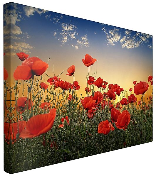 Bilderdepot24 Leinwandbild Blumen Modern Mohnblumenfeld Sonnenuntergang günstig online kaufen