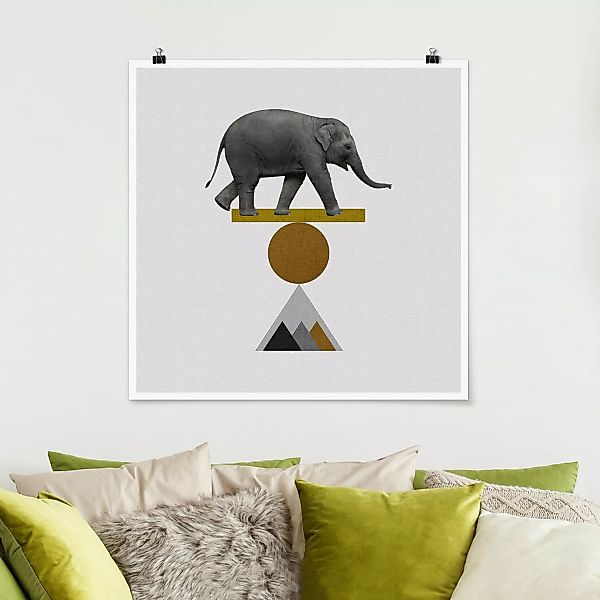 Poster Balancekunst Elefant günstig online kaufen