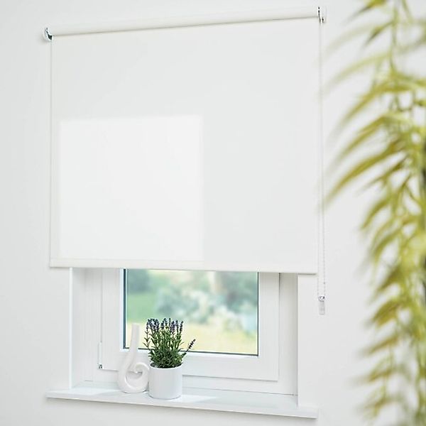 Liedeco Seitenzugrollo »Uni«, Lichtschutz, mit Bohren, freihängend, Welle 3 günstig online kaufen