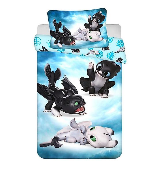 DreamWorks Kinderbettwäsche Drachenzähmen leicht gemacht – 100x135 cm & 40x günstig online kaufen