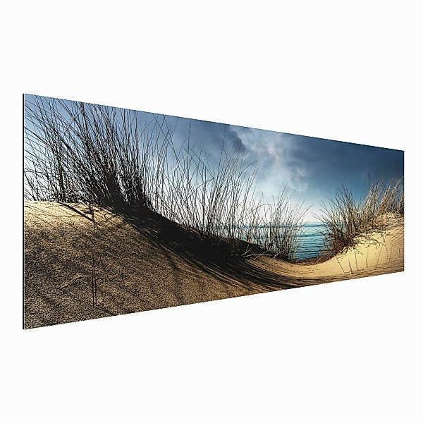 Alu-Dibond Bild - Panorama Sanddüne günstig online kaufen