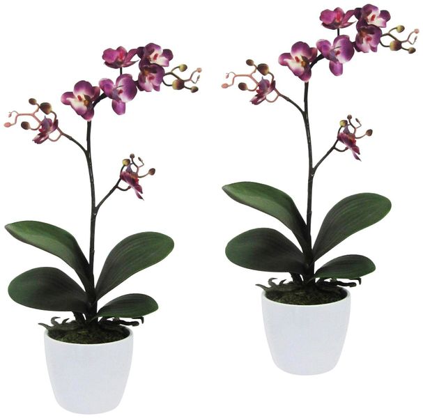 Kunstpflanze Orchidee Phalaenopsis Orchidee, Creativ green, günstig online kaufen