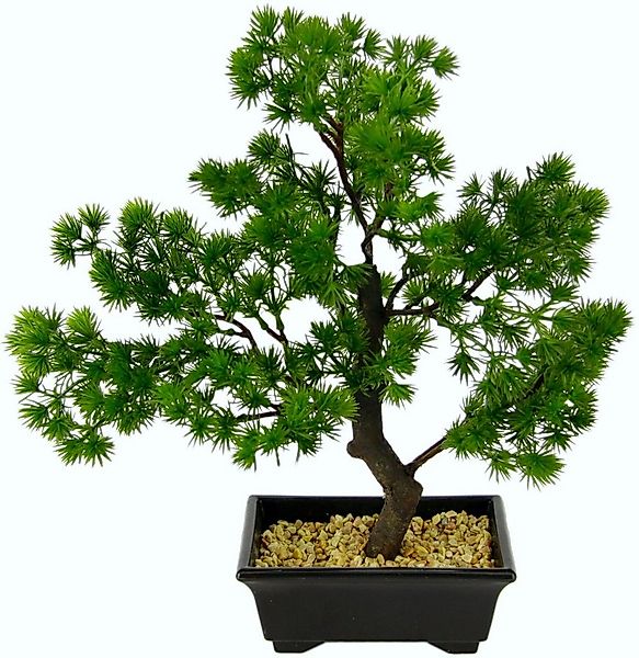 Kunstbonsai Bonsai, I.GE.A., Höhe 33 cm, in Bonsaischale aus Kunststoff günstig online kaufen
