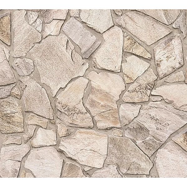 A.S. Création Vliestapete Terra Tapete Steinoptik, leicht strukturiert, gem günstig online kaufen