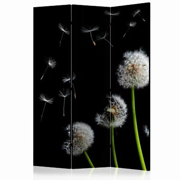 artgeist Paravent Dandelions in the wind [Room Dividers] mehrfarbig Gr. 135 günstig online kaufen