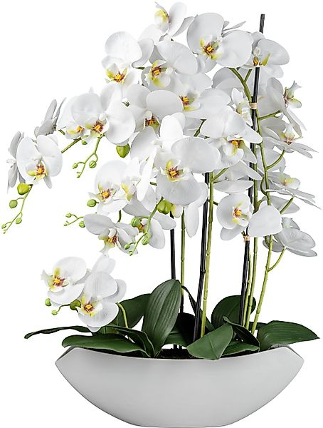 Kunstorchidee Orchidee Phalaenopsis Orchidee, Creativ green, günstig online kaufen