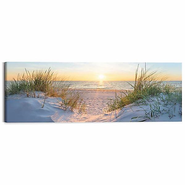 Reinders! Deco-Panel »Sonnenuntergang in den Dünen«, Wohnzimmer - Beige - M günstig online kaufen