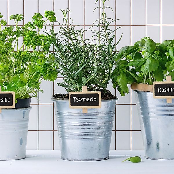 relaxdays Dekohänger 96 x Tafelklammern zum günstig online kaufen